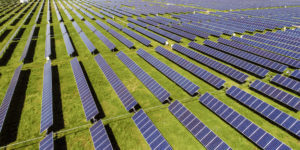 Solar panels on Texas solar farm